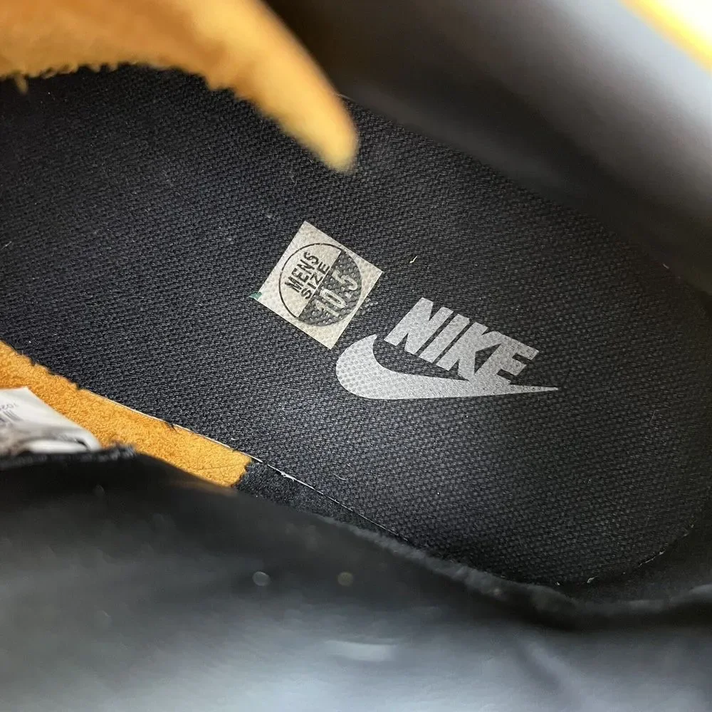Nike men dunk